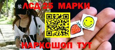 jwh Бийск