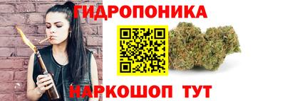 jwh Бийск
