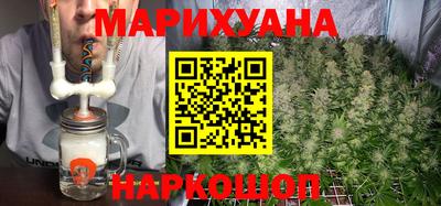 jwh Бийск