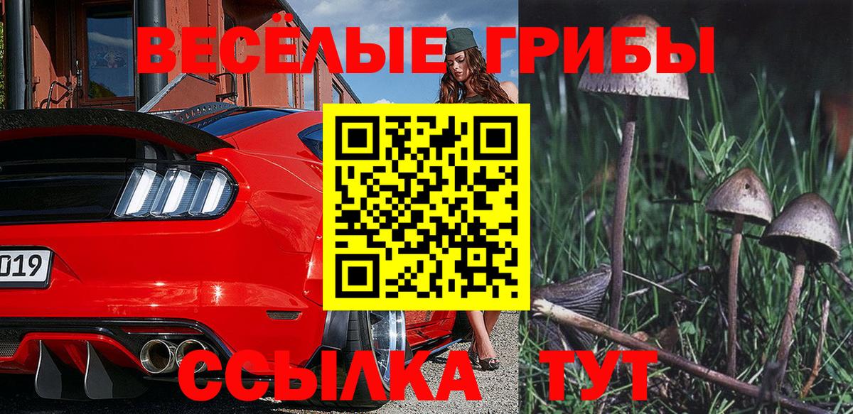 Галлюциногенные грибы Psilocybine cubensis Коломна