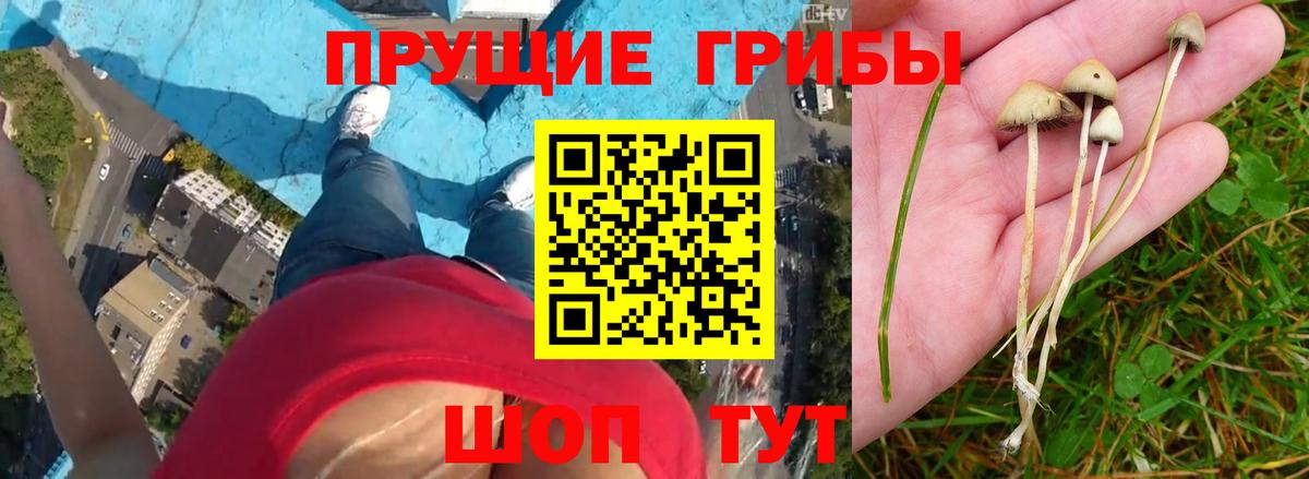 Псилоцибиновые грибы мухоморы  Вход с VPN  Коломна 